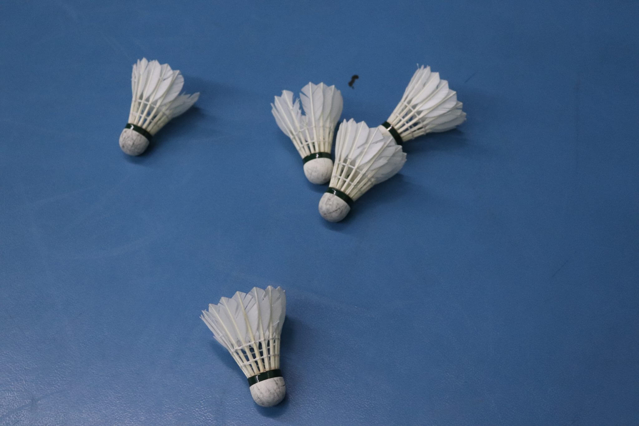 8. EM Badminton 2018 Swiss Deaf Sport