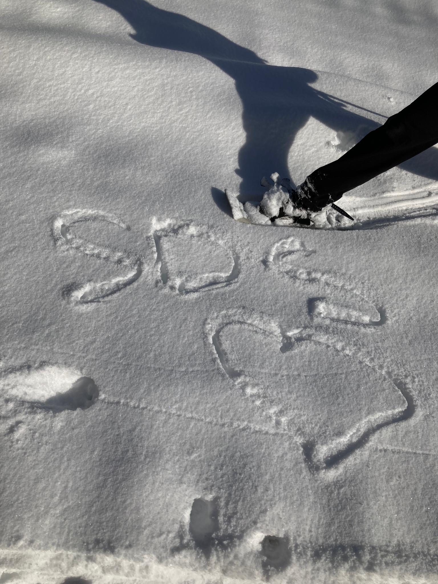 2023_SDS_Snowcamp (1)