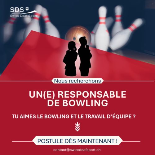 260217_Plakat Homepage_Leiter Bowling F